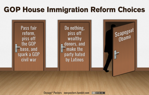 House Immigration Reform Choices